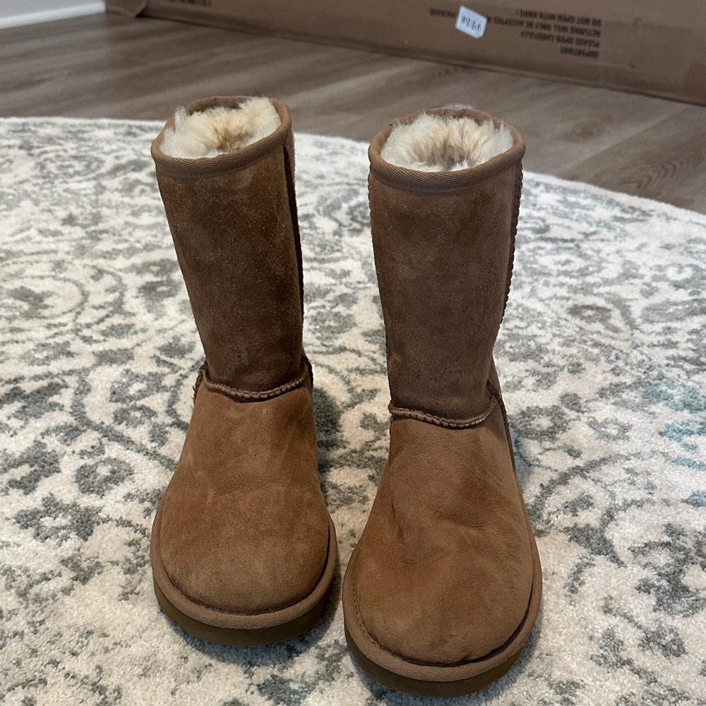 Cozy Brown ugg Boots